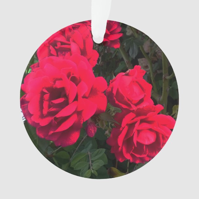 Rote Rosen Blume Ornament (Vorderseite)