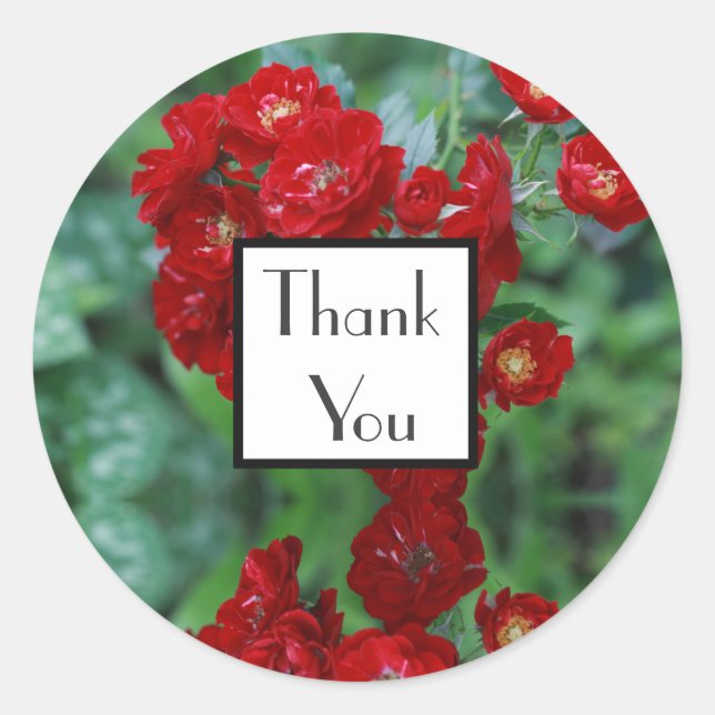 Rote Rosen danken Ihnen für die Hochzeitstickerei Runder Aufkleber (Vorderseite)