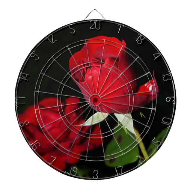 Rote Rosen Dartscheibe (vorne)