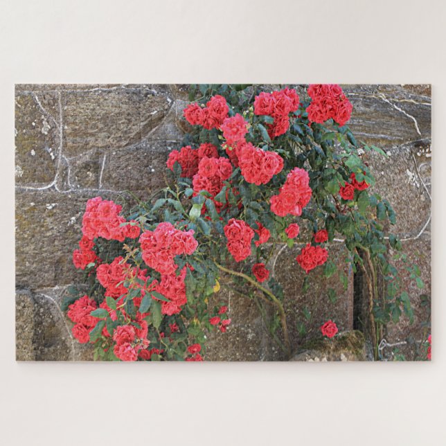 Rote Rosen, die auf Ziegelmauer klettern, Spanien Puzzle (Horizontal)