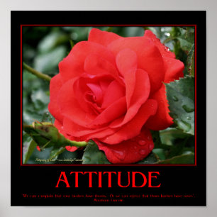 Rote Rosen Dornen Inspirierendes Einstellungszitat Poster