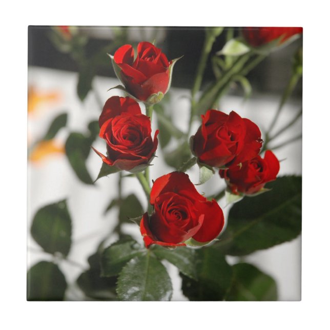 Rote Rosen Fliese (Vorderseite)