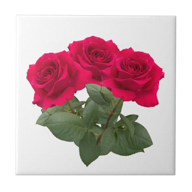 Rote Rosen Fliese (Vorderseite)