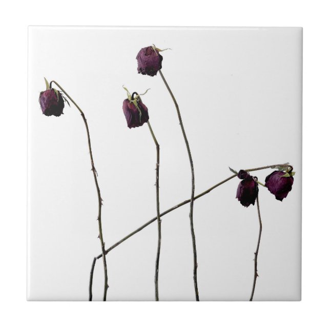 Rote Rosen Fliese (Vorderseite)