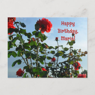 Rote Rosen Foto-Grüße zum Geburtstag Flachkarte Postkarte
