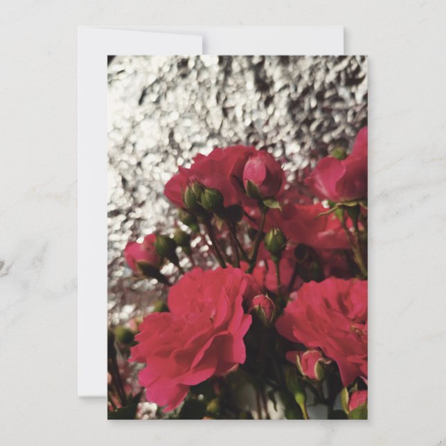 Rote Rosen, frische Knospen blühen helle Folie Sil Einladung (Vorderseite)