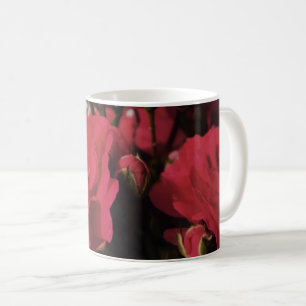 rote Rosen, frische Knospen blühen helle Folie Sil Kaffeetasse