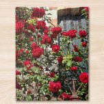 Rote Rosen für Reisen nach Frankreich Puzzle<br><div class="desc">Ich habe dieses Foto eines Tages gemacht,  als ich eine Straße in Frankreich entlang ging.
Kletternde rote Rosen im Sonnenlicht verdecken fast ein verstopftetes Fenster und halten von einem alten Eisenzaun.
So romantisch und nostalgisch. Ich hoffe,  dass es Ihnen Spaß macht,  dieses Rätsel!</div>