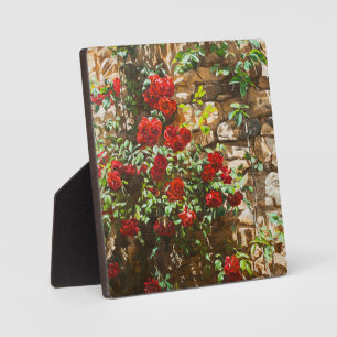 Rote Rosen gegen eine Steinmauer Fotoplatte