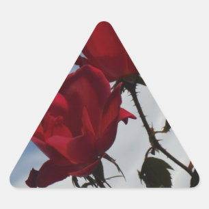 Rote Rosen gegen einen hellen blauen Himmel Dreieckiger Aufkleber