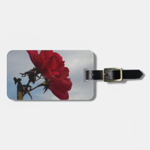 Rote Rosen gegen einen hellen blauen Himmel Gepäckanhänger