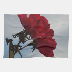 Rote Rosen gegen einen hellen blauen Himmel Küchentuch