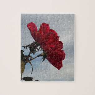 Rote Rosen gegen einen hellen blauen Himmel Puzzle