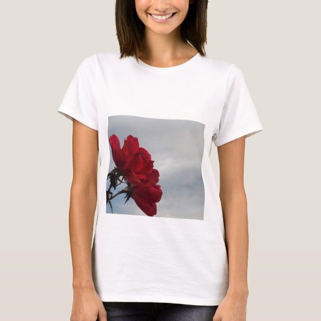 Rote Rosen gegen einen hellen blauen Himmel T-Shirt (Vorderseite)
