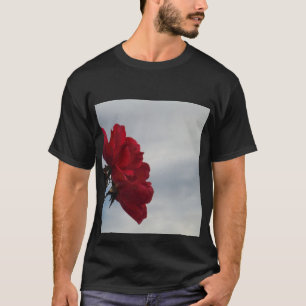 Rote Rosen gegen einen hellen blauen Himmel T-Shirt
