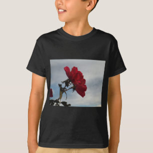 Rote Rosen gegen einen hellen blauen Himmel T-Shirt