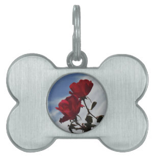 Rote Rosen gegen einen hellen blauen Himmel Tiermarke