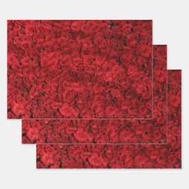 Rote Rosen Geschenk Wrap HAMbyWG Geschenkpapier Set