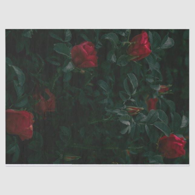 rote Rosen Gewindetappapier-Dekoupage-Geschenkpapi Seidenpapier (Vorderseite)