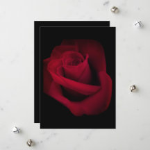 Rote Rosen-Hochzeitseinladung, Termin vormerken