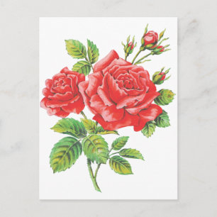 Rote Rosen im botanischen Stil Vintage Postkarte