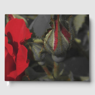 rote Rosen in schwarzem Gästebuch, festlich Gästebuch