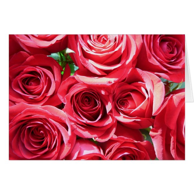 Rote Rosen - Lochkarte (Vorderseite (Horizontal))