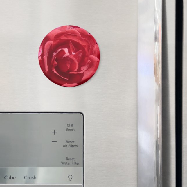 Rote Rosen Magnet (In Situ (Kühlschrank))
