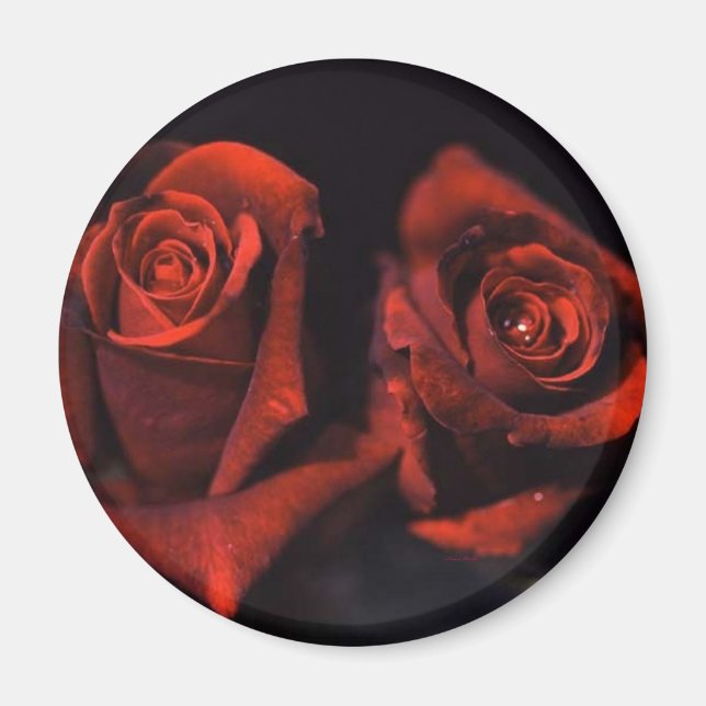 Rote Rosen Magnet (Vorne)