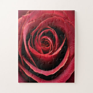 Rote Rosen-Makroaufnahme Puzzle
