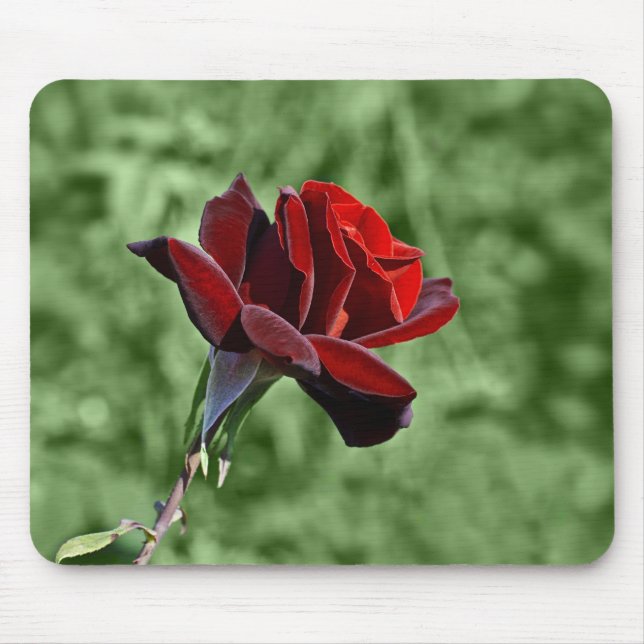 Rote Rosen-Mauspad Mousepad (Vorne)