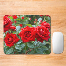 Rote Rosen-Mauspad