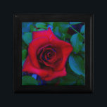 Rote Rosen mit blauen Farbtönen Geschenkbox<br><div class="desc">Rote Rosen mit blauen Farbtönen Rote Rose Lieblicher Hintergrund der rote Rose lesen,  um mit Ihrem Text zu schneiden. Ideal für jeden Liebhaber der Rose. Foto von Sandy Closs,  aufgenommen am Arrowhad-See. "rote Rose""rote Rosen""rosa Rosen""Rosa Rosen""Hochzeiten""Liebe-Geschenk""Rote Blume""Rote Blume""Rote Blüten" Rose "Geschenke mit Rose"</div>