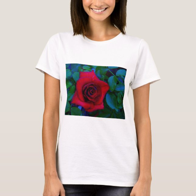 Rote Rosen mit blauen Farbtönen T-Shirt (Vorderseite)