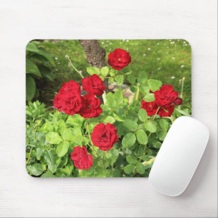 Rote Rosen Mousepad