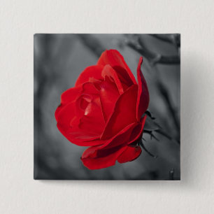 Rote Rosen-Nadel Button