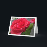 Rote Rosen Nah-up Portrait Karte<br><div class="desc">Rote Rosen Nah-up Portrait Grußkarte. Sie können dieses Produkt ganz einfach kostenlos anpassen,  wenn Sie Text hinzufügen oder die Farbe des Hintergrunds ändern möchten.</div>