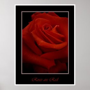 rote Rosen-Plakat Poster