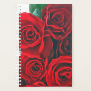 Rote Rosen Planer