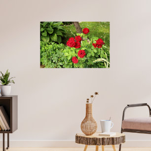 Rote Rosen Poster