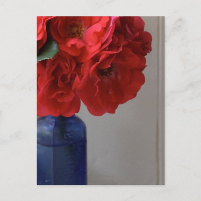 rote Rosen Postkarte (Vorderseite)
