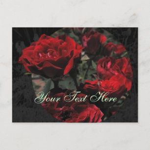 Rote Rosen Postkarte