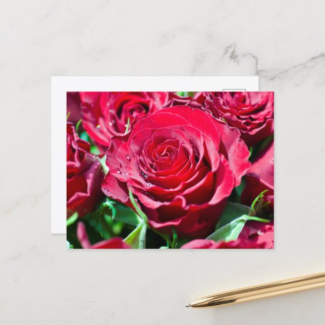 Rote Rosen Postkarte (Vorderseite/Rückseite Beispiel)