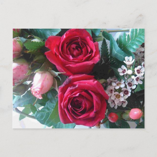 rote Rosen Postkarte (Vorderseite)
