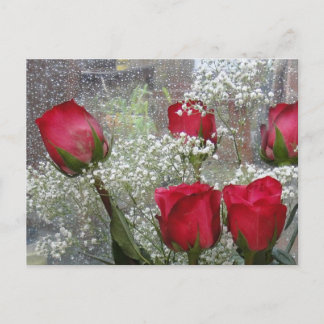 rote Rosen Postkarte