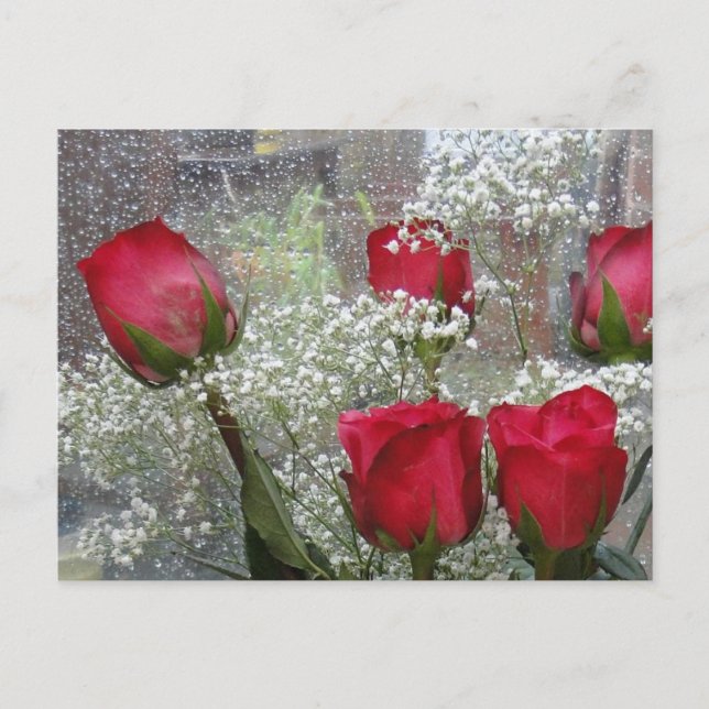 rote Rosen Postkarte (Vorderseite)
