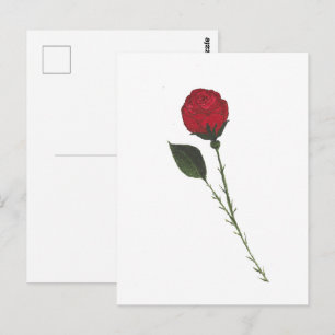 Rote Rosen Postkarte