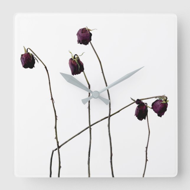 Rote Rosen Quadratische Wanduhr (Vorderseite)