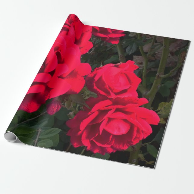 Rote Rosen Rosarium Geschenkpapier (Ungerollt)