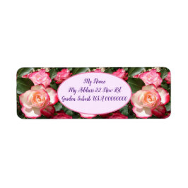 Rote Rosen Rose Weißer Blume Hütte Gartenanlage